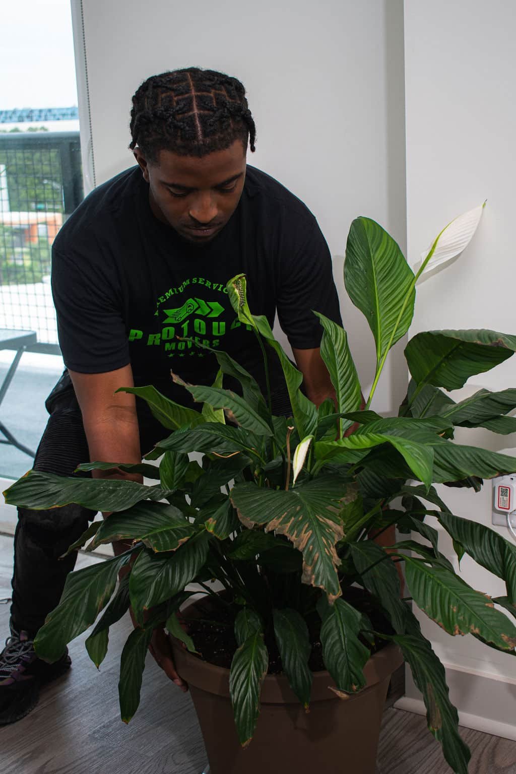 Person tending to a large plant. Moving Company in Yulee