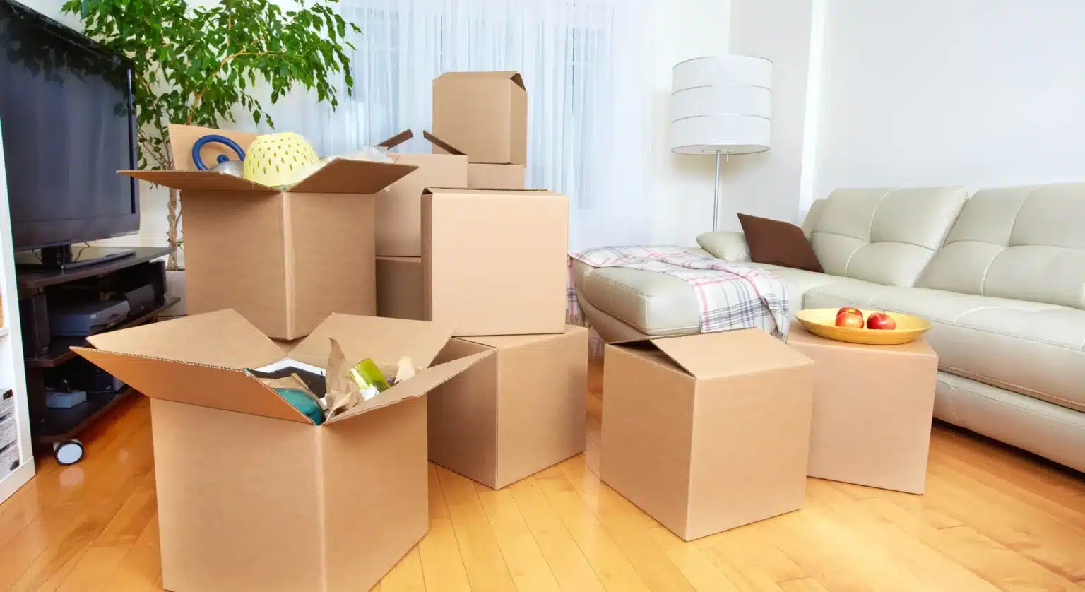 Packers & Movers in Orange Park FL Image