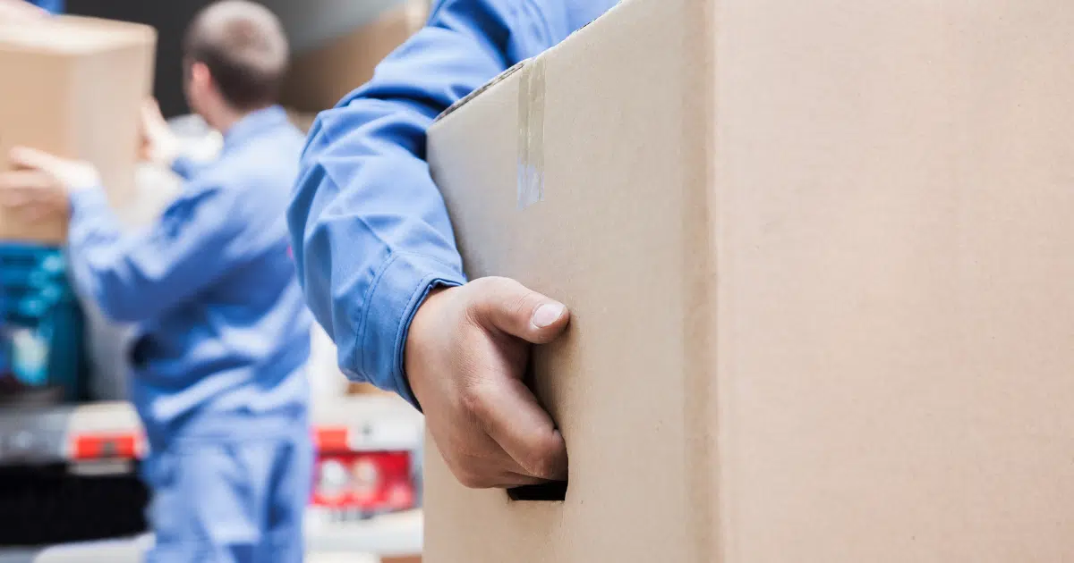 professional movers