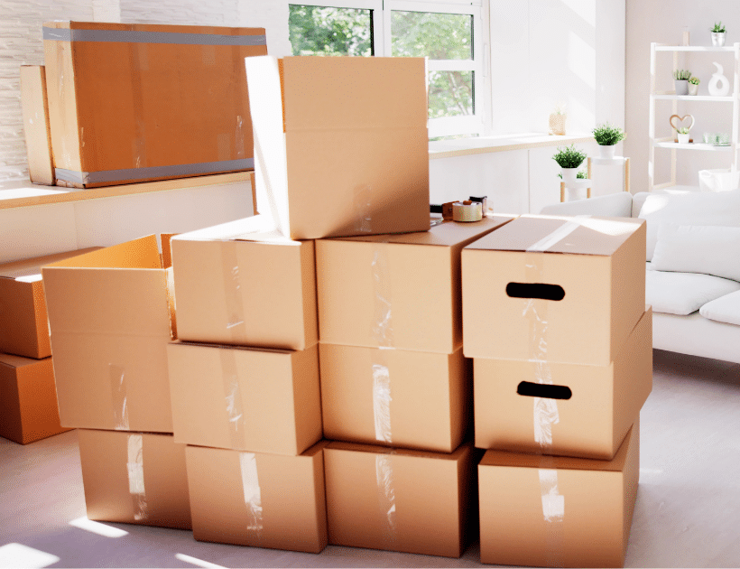 expert packing services